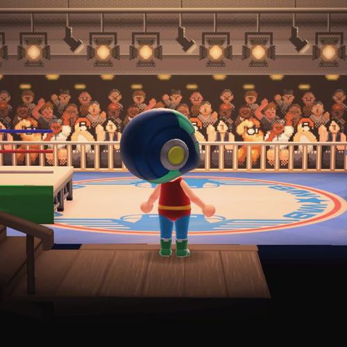 Animal Crossing Wrestling